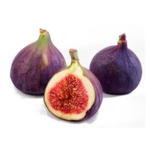 figue violette