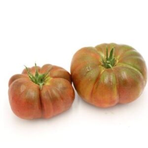 tomate noire de crimée la cabane mauguio