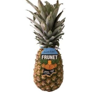 ananas frunet