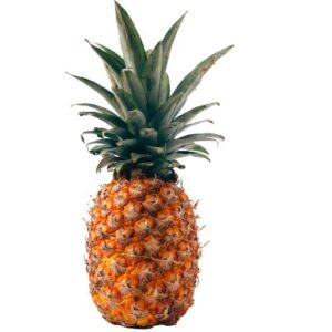 ananas victoria