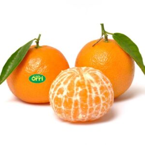 clementine orri
