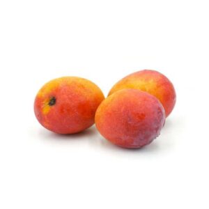 mangue mini
