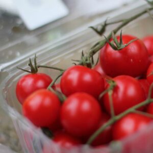 tomate cerise barquette
