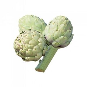 Artichaut blanc