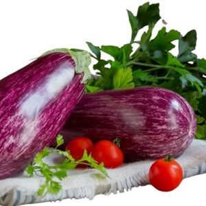 aubergine tigrée