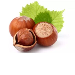 noisette