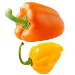 poivron jaune_orange