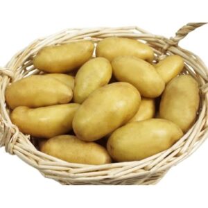 pomme de terre charlotte