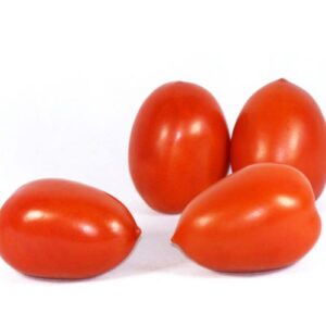 tomate Roma