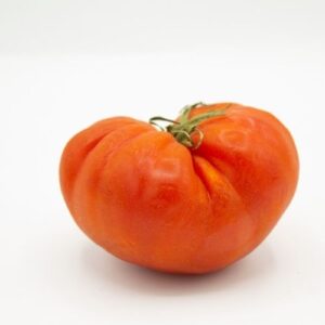 tomate marmande