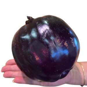 Aubergine de Naples
